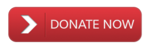 Donate-Button_1